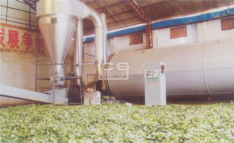 HG 銀杏葉專用干燥機(jī)