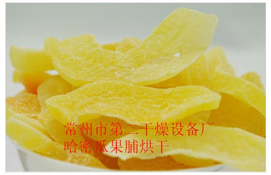 DWD 帶式脫水蔬菜干燥機