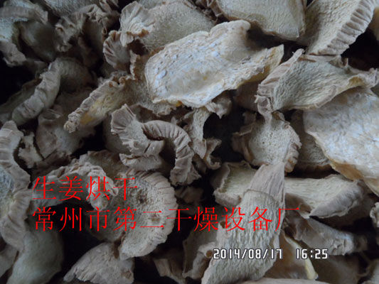 DWD 帶式脫水蔬菜干燥機