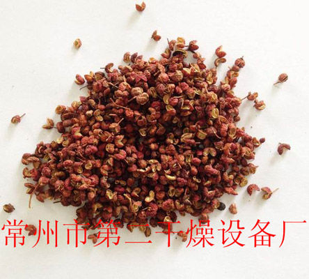 DWD 帶式脫水蔬菜干燥機