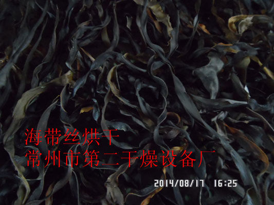 DWD 帶式脫水蔬菜干燥機