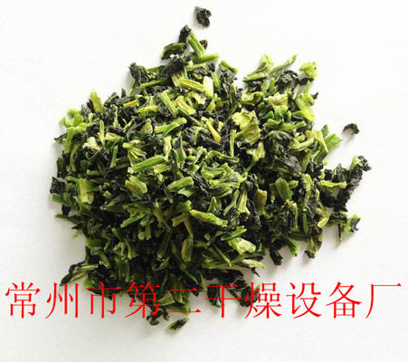 DWD 帶式脫水蔬菜干燥機
