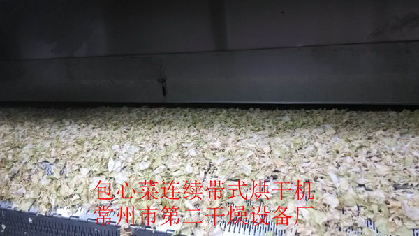 DWD 帶式脫水蔬菜干燥機
